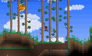 Terraria_2011-05-31_19-49-26-25